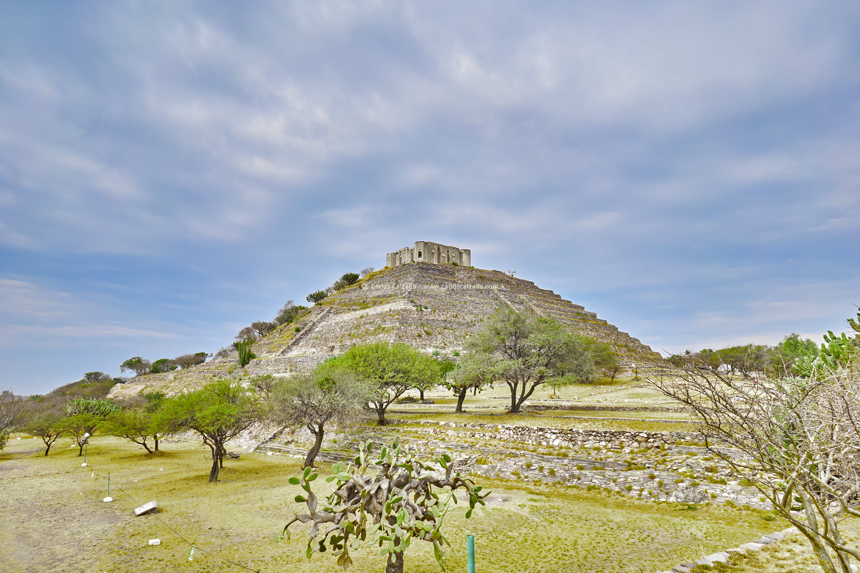ene. 21 2022-El Pueblito-DSC06762.jpg